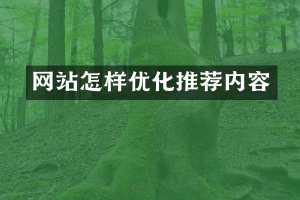 网站怎样优化推荐内容