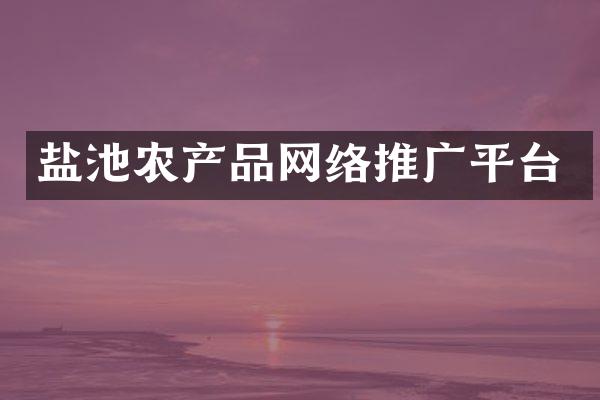 盐池农产品网络推广平台