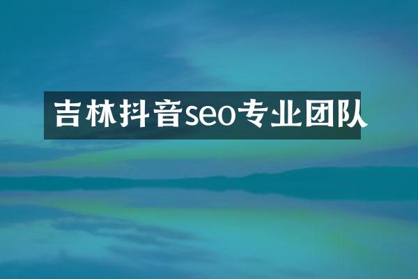 吉林抖音seo专业团队