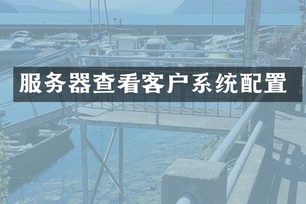 服务器查看客户系统配置