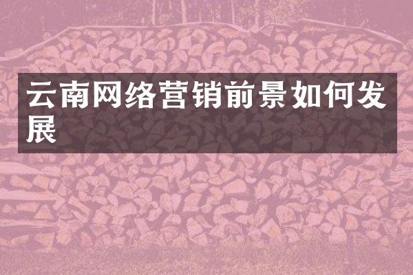 云南网络营销前景如何发展