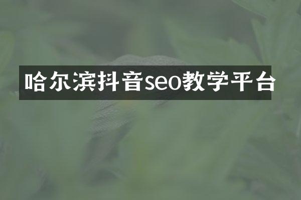 哈尔滨抖音seo教学平台