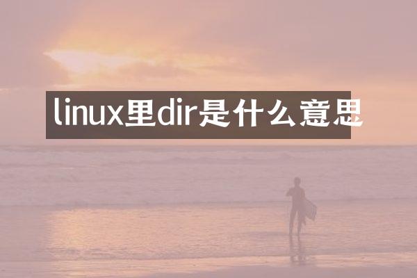 linux里dir是什么意思