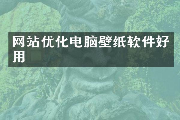 网站优化电脑壁纸软件好用