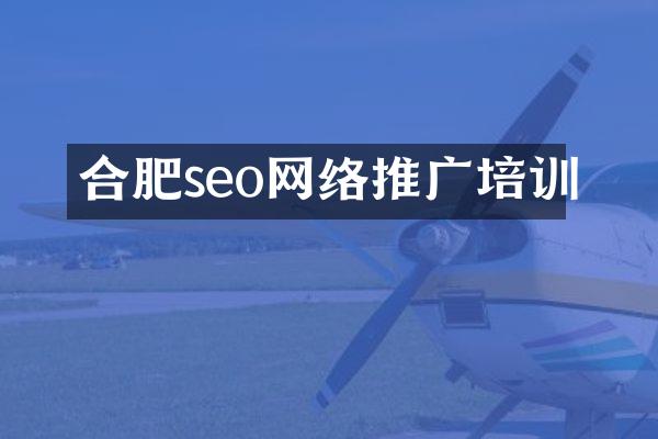 合肥seo网络推广培训
