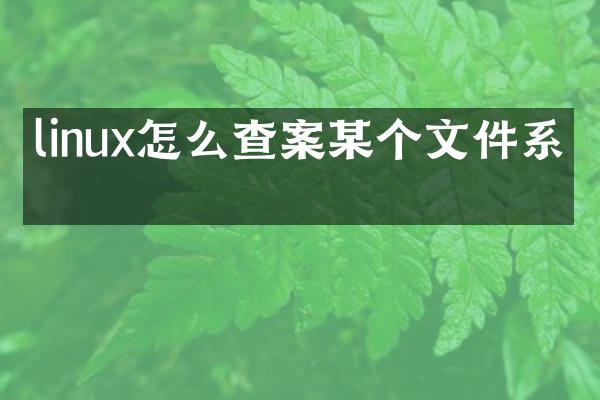 linux怎么查案某个文件系统
