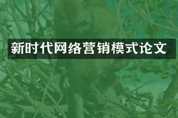 新时代网络营销模式论文