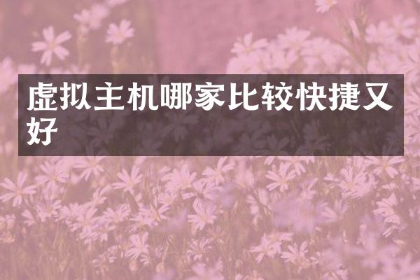 虚拟主机哪家比较快捷又好