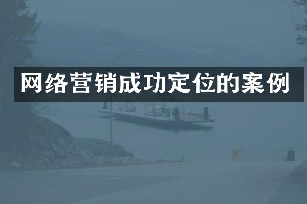 网络营销成功定位的案例