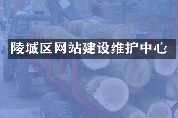 陵城区网站建设维护中心