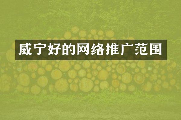 威宁好的网络推广范围