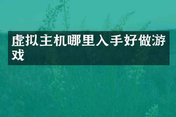 虚拟主机哪里入手好做游戏