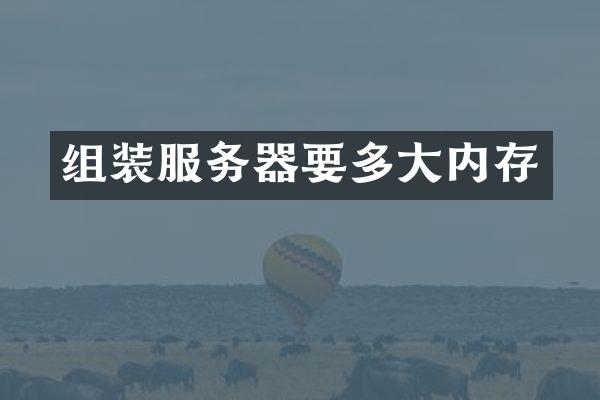 组装服务器要多大内存