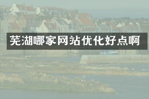 芜湖哪家网站优化好点啊