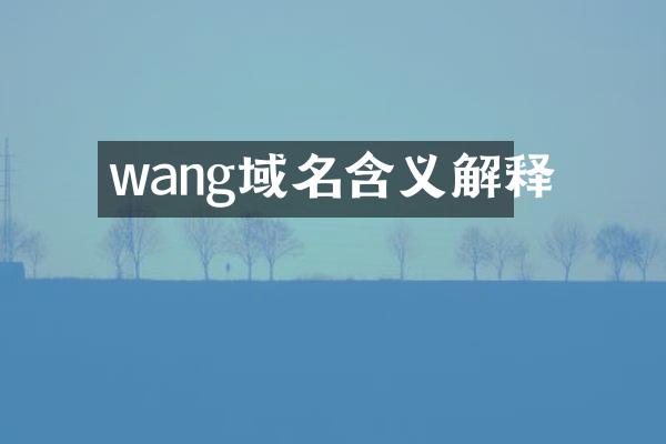 wang域名含义解释