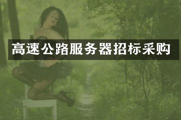 高速公路服务器招标采购