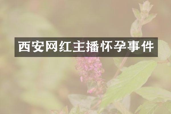 西安网红主播怀孕事件