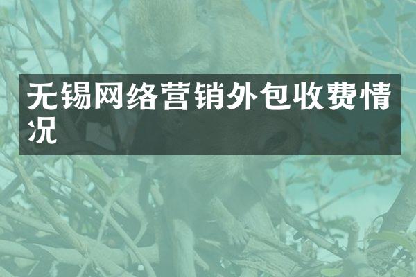 无锡网络营销外包收费情况