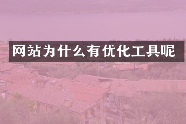 网站为什么有优化工具呢