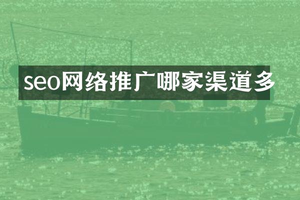 seo网络推广哪家渠道多