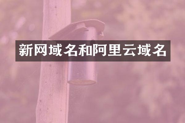 新网域名和阿里云域名