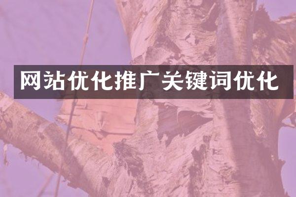 网站优化推广关键词优化