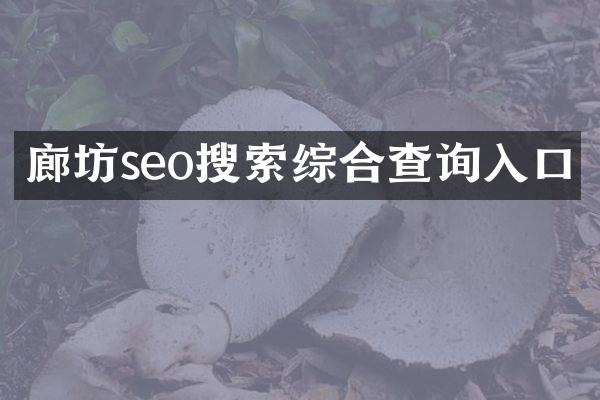 廊坊seo搜索综合查询入口