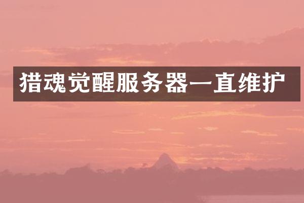 猎魂觉醒服务器一直维护