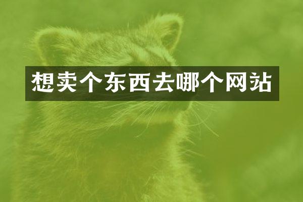 想卖个东西去哪个网站