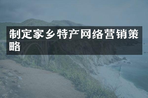 制定家乡特产网络营销策略