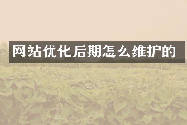 网站优化后期怎么维护的