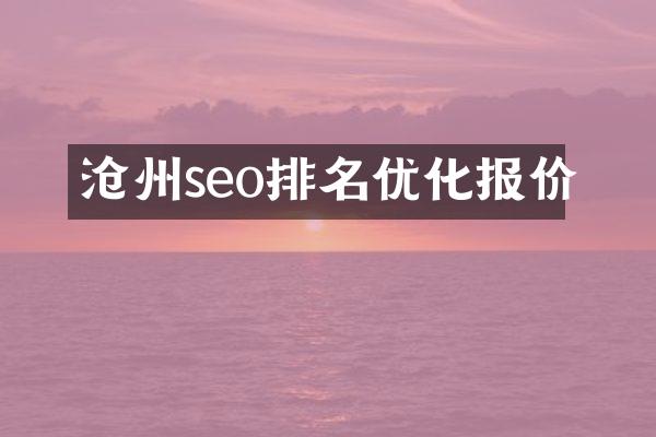 沧州seo排名优化报价