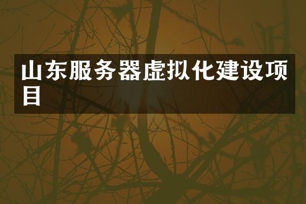 山东服务器虚拟化建设项目