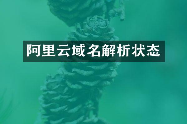 阿里云域名解析状态