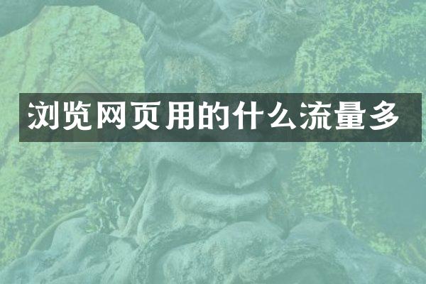 浏览网页用的什么流量多