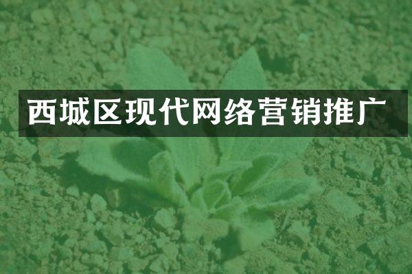 西城区现代网络营销推广