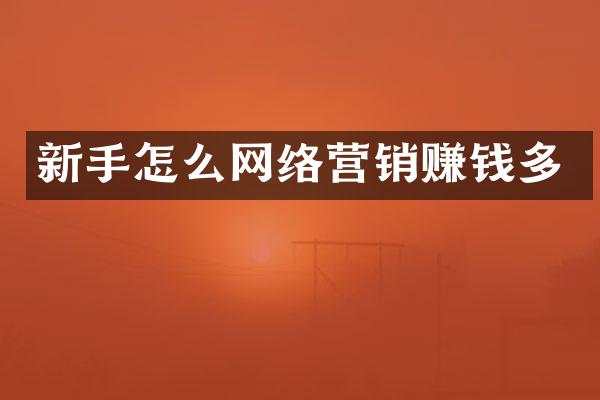 新手怎么网络营销赚钱多