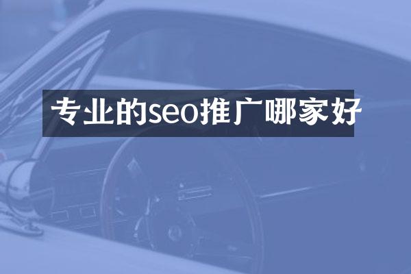 专业的seo推广哪家好