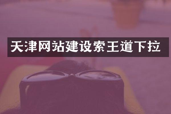 天津网站建设索王道下拉