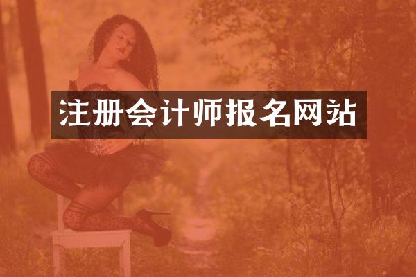 注册会计师报名网站
