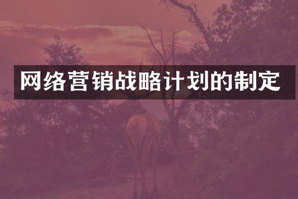网络营销战略计划的制定