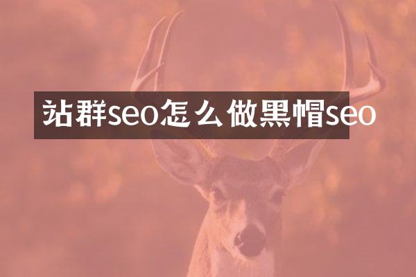 站群seo怎么做黑帽seo