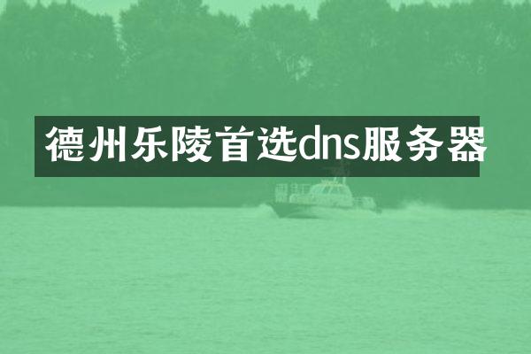 德州乐陵首选dns服务器