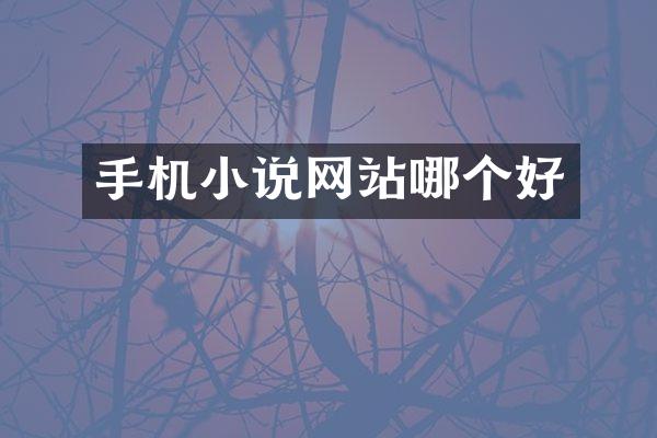 手机小说网站哪个好