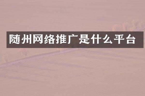 随州网络推广是什么平台