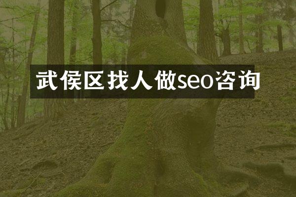 武侯区找人做seo咨询