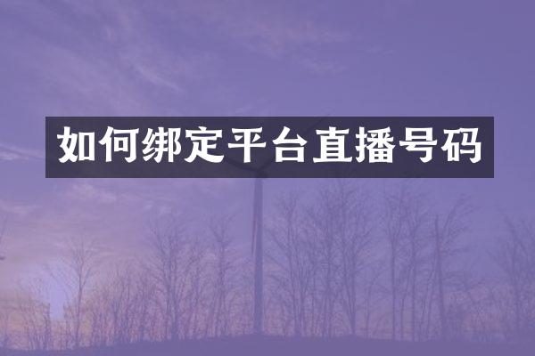 如何绑定平台直播号码