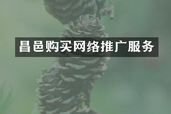 昌邑购买网络推广服务