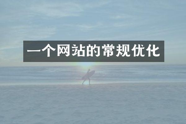 一个网站的常规优化