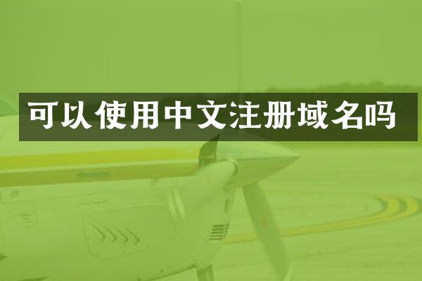 可以使用中文注册域名吗
